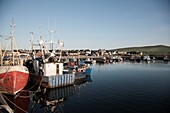 Fischerboote angedockt am Hafen, Dingle, Halbinsel Dingle, County Kerry, Irland