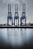 Reihe von drei Kränen auf dem Ipswich Dock am Fluss Orwell, Ipswich, Suffolk, England