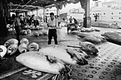 Japan, Tokio, Mann Bestandsaufnahme der verbleibenden Thunfische am Tsukiji-Fischmarkt