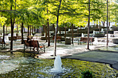 Woman siting in urban park, Dallas, Texas, United States
