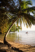 dreamy bay lined with palm trees, Nosy Nato, Ile aux Nattes, Madagascar, Indian Ocean, Africa