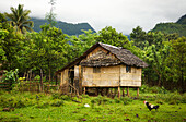 Little house on polls and garden in rural village outside of Calapan City, Philippines