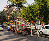 Row of decorated ornate horse drawn carriages parked on side of busy Mumbai street