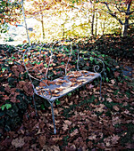 Metal seat amongst brown oak tree leaves and ivy bed in winter park