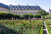 Bamberg; Neue Residenz, Rosengarten, Bayern, Deutschland