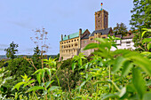 Eisenach; wart castle