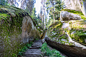 Rock labyrinth Luisenburg; Wunsiedel