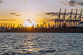 Hamburg, Containerhafen, Kräne, Norddeutschland, Deutschland