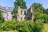 Marburg an der Lahn; Ruine der Franziskuskapelle des St. Elisabeth-Hospitals, Hessen, Deutschland
