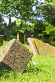 Worms, Jüdischer Friedhof Heiliger Sand, Grabsteine des 11.bis 13. Jahrhunderts, Rheinland-Pfalz, Deutschland