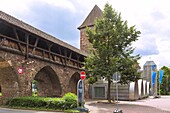 Worms, Nibelungenmuseum, Stadtmauer, Rheinland-Pfalz, Deutschland