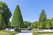 Würzburg, Hofgarten der Residenz, Südgarten, kegelförmig geschnittene Eiben, Bayern, Deutschland