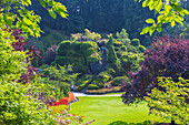 Victoria, The Butchart Gardens, Sunken Garden, Vancouver Island, Kanada