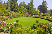 Victoria; The Butchart Gardens; Rose Garden, Vancouver Island, Kanada