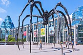Ottawa, National Gallery of Canada, Maman spider sculpture by Sophie Bourgois