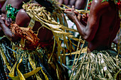 Native Fijian men dressed in traditional dress performing and dancing