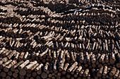 Aerial of logs stacked ready for export