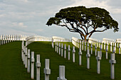 Reihen von Marmorkreuzen auf dem Friedhof von Manila, die amerikanische Soldaten darstellen, die im Zweiten Weltkrieg auf den Philippinen starben
