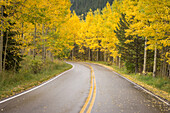 Kurvenreiche Straße und gelbes Herbstlaub in Aspen Colorado
