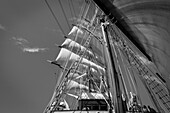 Looking up into rigging of tall ship Sea Cloud, black & white.