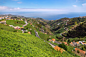 Levada do Norte; Ausblick auf Estreito de Camara do Lobos, portugiesische Insel Madeira, Portugal