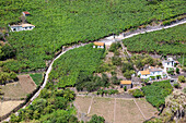 Levada do Norte; Weinbauernhäuser bei Jardim da Serra, portugiesische Insel Madeira, Portugal