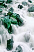 Wasser rauscht über grüne Felsen, Irian Jaya, Neuguinea, Indonesien