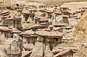Close up long shot of sandstone hoodoos at the Ah-shi-sle-pah Wilderness Study Area in New Mexico. Area is located in northwestern New Mexico and is a badland area of rolling water-carved clay hills. It is a landscape of sandstone cap rocks and scenic olive-colored hills. Water in this area is scarce and there are no trails; however, the area is scenic and contains soft colors rarely seen elsewhere