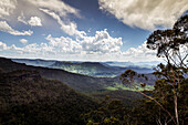 Blick vom Python Rock auf den Lamington National Park zwischen den Wolken