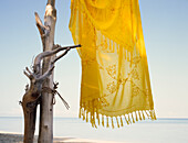 Gelber Sarong, der an Treibholz am tropischen Strand hängt