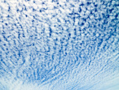 Cirrocumulus-Wolken in Reihen am blauen Himmel