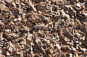 Close up of chunky woodchips ready for export