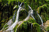 Wasserfall und moosbedeckte Felsen, Cascades des Tufs, Baume-les-Messieurs, Departement Jura, Bourgogne-Franche-Comté, Jura, Frankreich