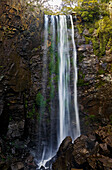 Water falling down rocky cliff face onto rocks below at Queen Mary Falls - Queensland