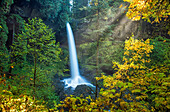 Silver Falls State Park, Oregon-Wasserfall