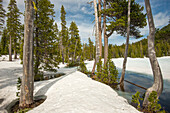 Schnee schmilzt um Bäume und Seen in Sky Lakes Wilderness
