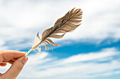 A woman's hand holds a feather against the sky