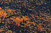 Einzigartige und abstrakte Naturaufnahme einer trockenen, trockenen Landschaft aus Zentral-Südaustralien. Luftaufnahmen über der Painted Desert, den Dry Creek Beds und dem Buschland
