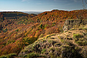 Klippen des Hohenstein, Weserbergland, Hessisch Oldendorf, Niedersachsen, Deutschland, Europa