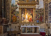 Rom, Kirche Santa Maria sopra Minerva, Cappella Carafa, Verkündigung von Filippino Lippi, Latium, Italien