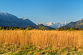 Murnauer Moos vor dem Wettersteingebirge, Eschenlohe, Oberbayern, Bayern, Deutschland