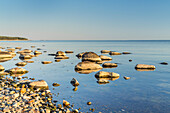 Stone beach at the Bodden in front of Klein Zicker, Ruegen Island, Mecklenburg-West Pomerania, Germany