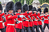 Wachablösung, Buckingham Palace, London, England, Vereinigtes Königreich
