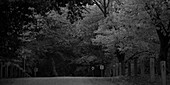 Black and white dark shot of Australian countryside road