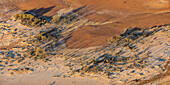 Dry arid landscape from central South Australia. Aerial images over the Painted Desert, Dry Creek Beds, and scrub bushland