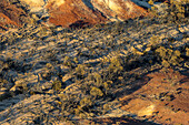 Trockene Landschaft im zentralen Südaustralien. Luftaufnahmen über der Painted Desert, den Dry Creek Beds und dem Buschland