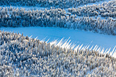 Luftaufnahme von Winterbäumen und eingeschneiten Hütten am See in Kuusamo, Finnisch-Lappland