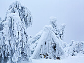 Eine schneebedeckte Hütte nach einem Blizzard im finnischen Lappland, Sentinels of Lappland