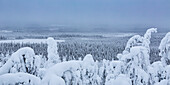 Malerischer Blick aus dem hohen Winkel auf das schneebedeckte Wildnisgebiet in Kuusamo, Finnisch-Lappland. Wächter von Lappland