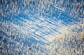 Luftaufnahme des schneebedeckten Wildnisgebiets. Kuusamo, Finnisch-Lappland, Finnland